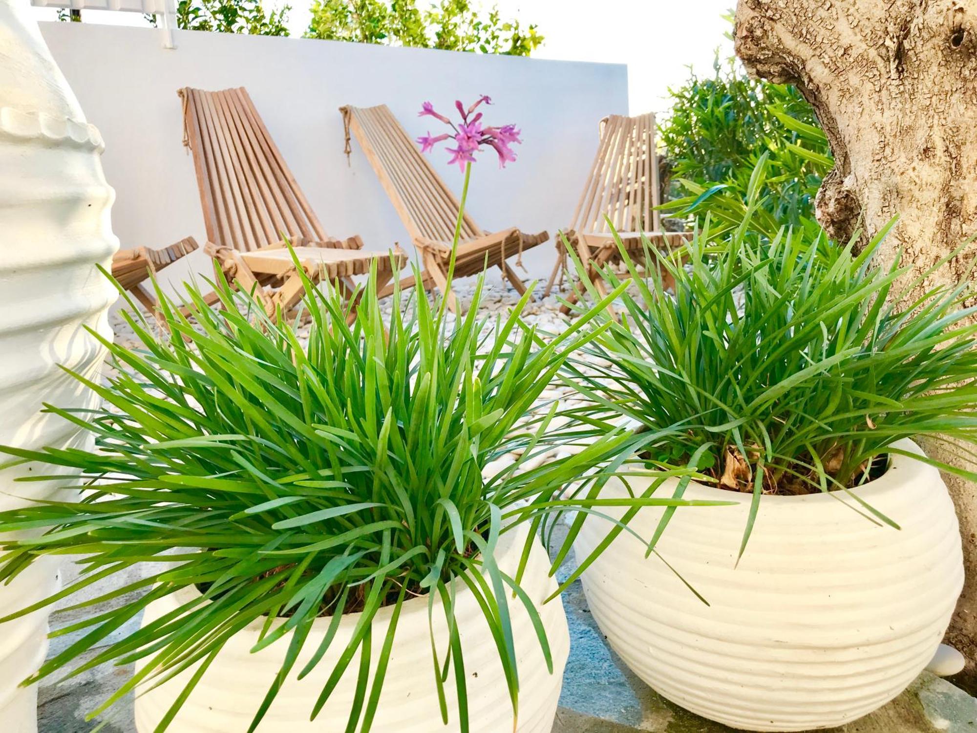 Almyrida Sands Kamer foto
